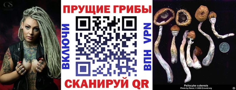 Галлюциногенные грибы Magic Shrooms  Купить  Гаврилов Посад 